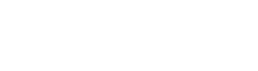 Lewis Manor Labradoodles